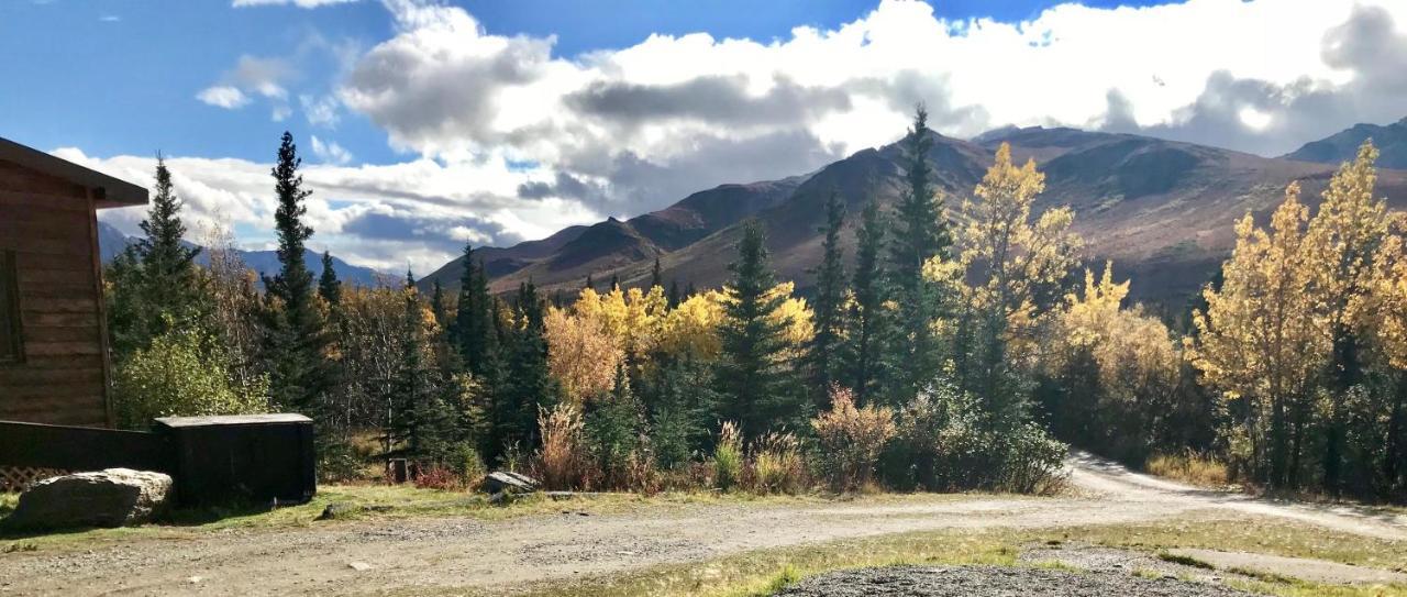 فيلا Denali Park View House هيلي المظهر الخارجي الصورة